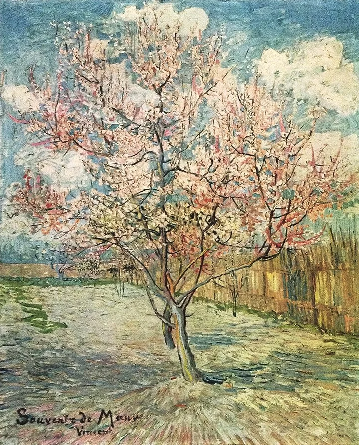 Vincent Van Gogh Flowering Tree Collotype Impressionist Fine Art Print 