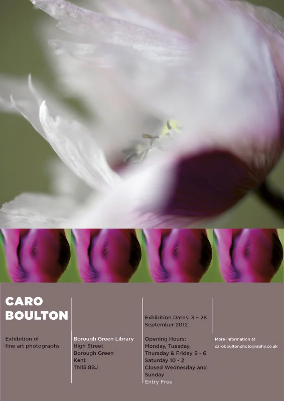 caro-flyer3_web.jpg