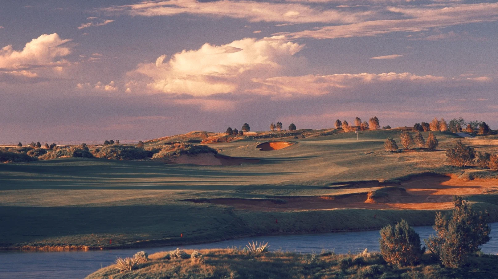 Newsletter | August 2015