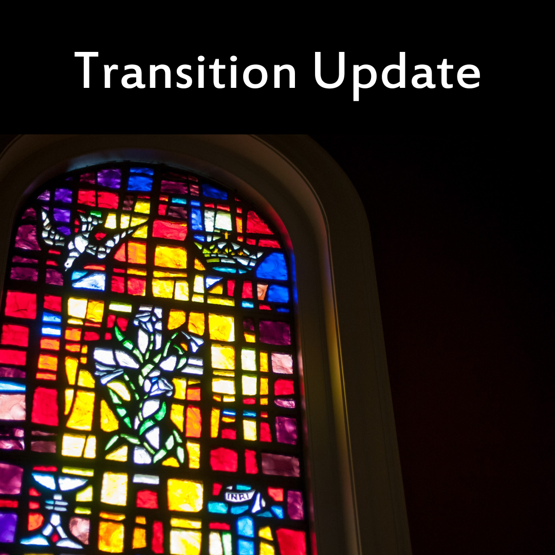 Pastoral Transition Update #2: Transition Team Appointed