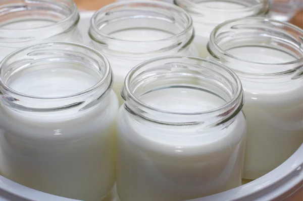 Yogurt and Pie Oh My! with Cheryl Paswater