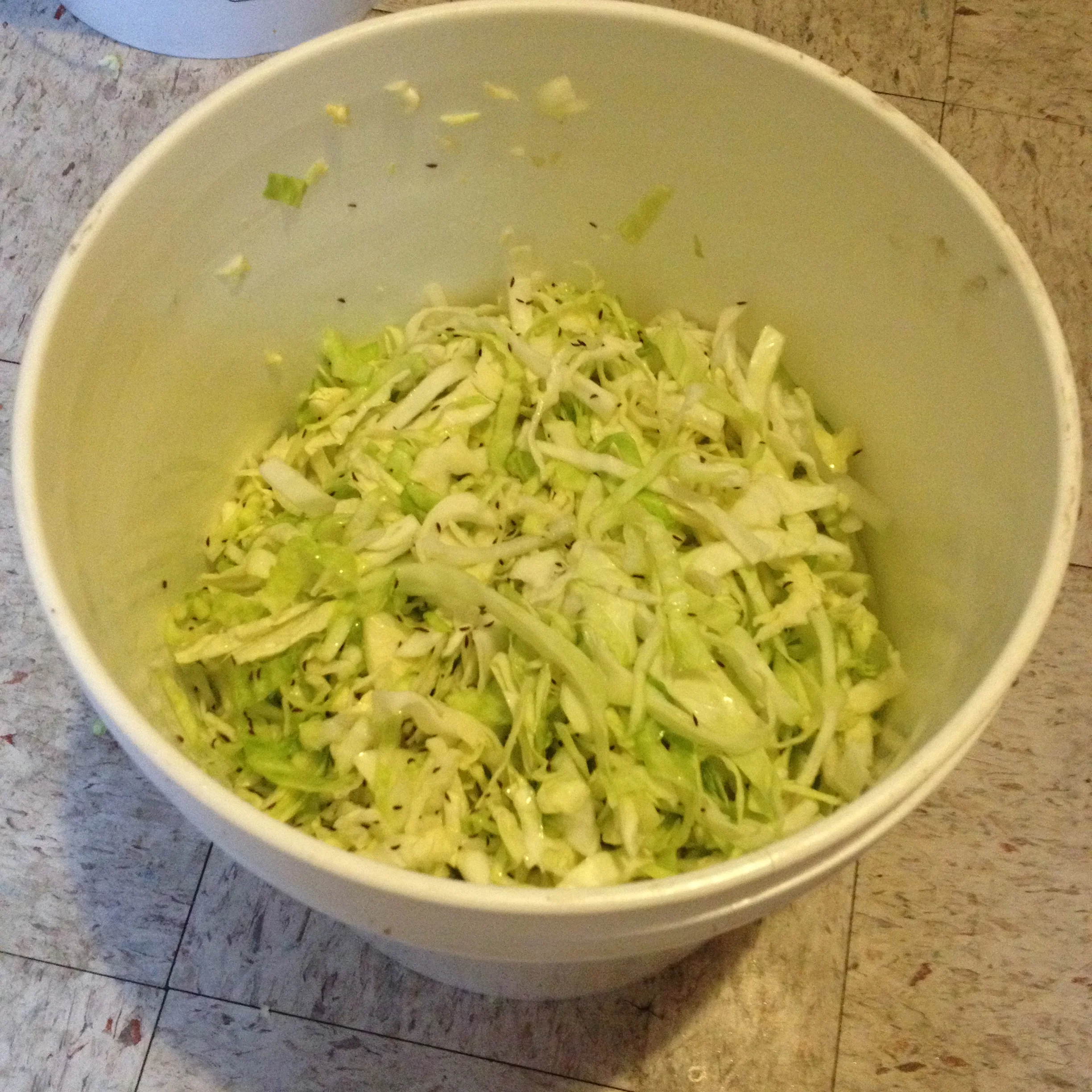 Seasonal Ferments : Sauerkraut 101
