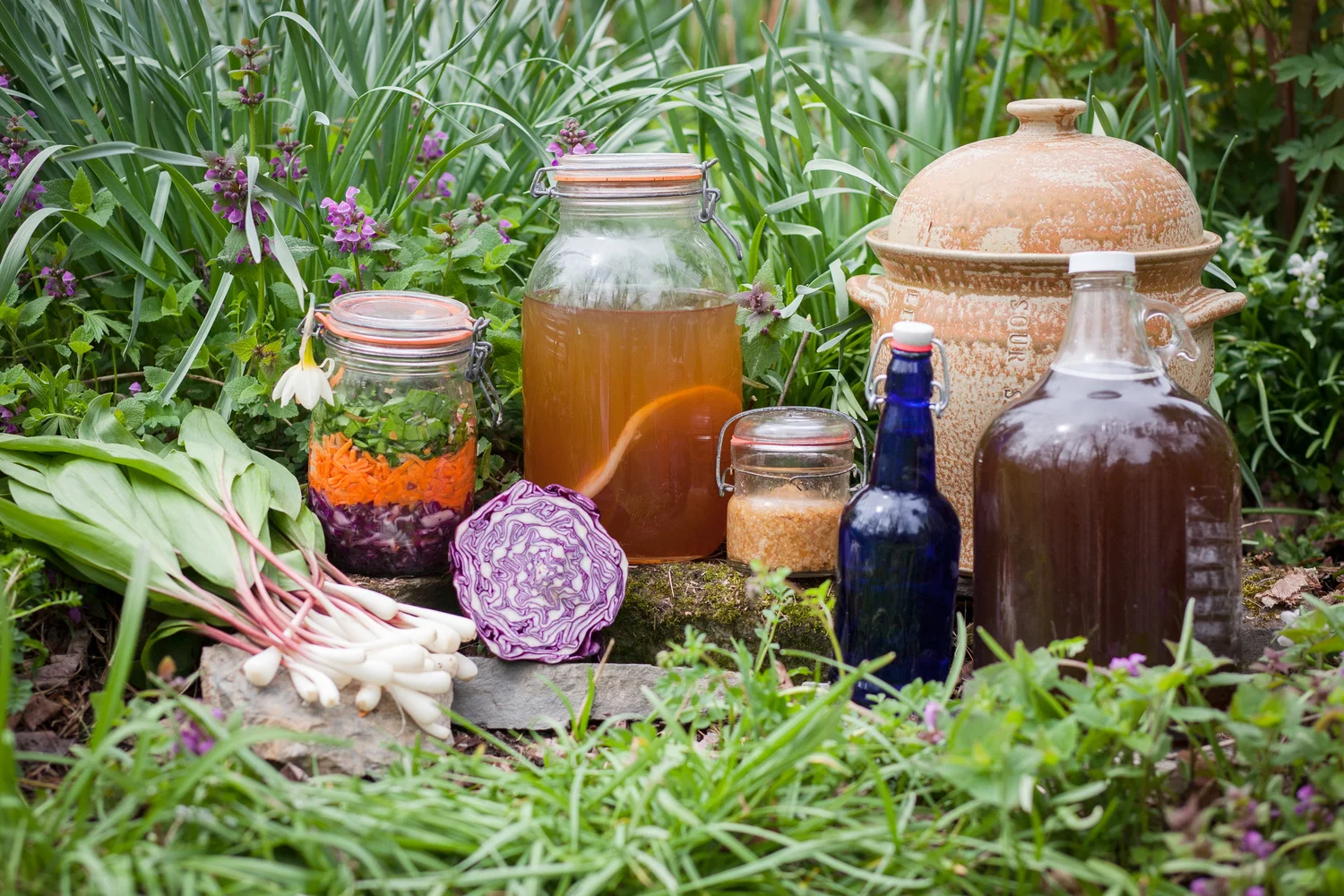 Teaching at the Vermont Fermentation Festival 