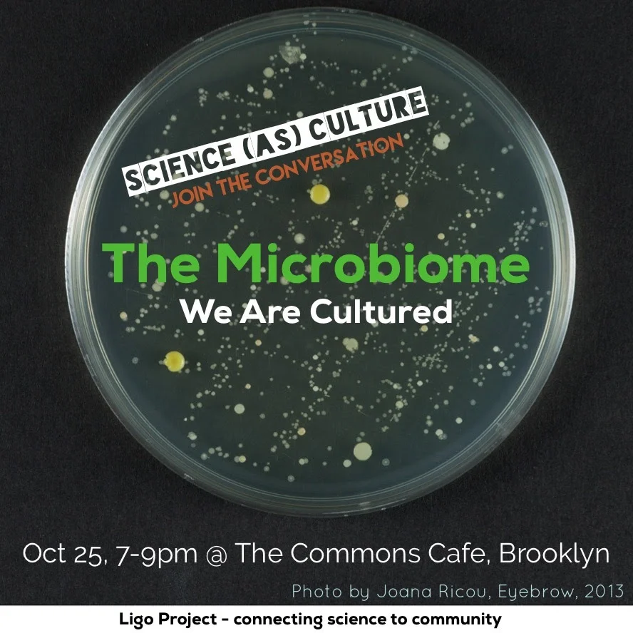 Science (as) Culture - The Microbiome, A Long Table Discussion