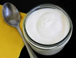 Kefir and other Dairy Ferments at Genspace