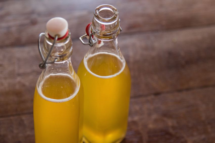 Fermented Herbal Sodas @ Brooklyn Botanic Gardens 