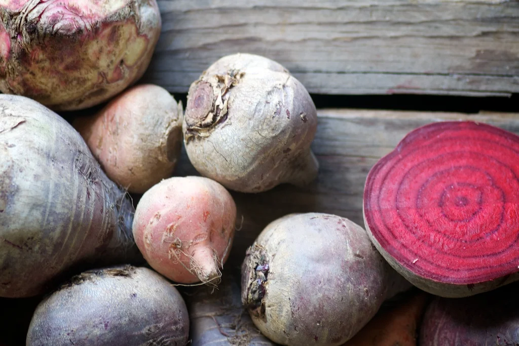 Seasonal Ferments at Genspace