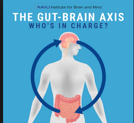 Introduction to Gut Health @ Brooklyn Botanic Garden