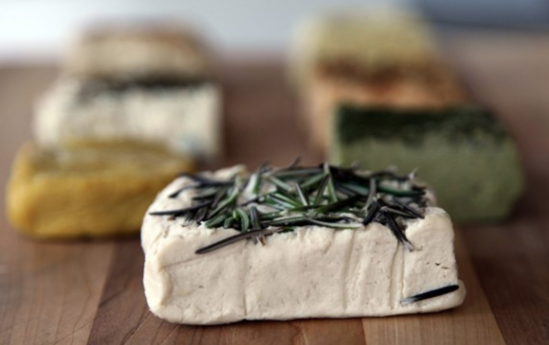 Fermented Vegan Cheeses @ Brooklyn Botanic Gardens