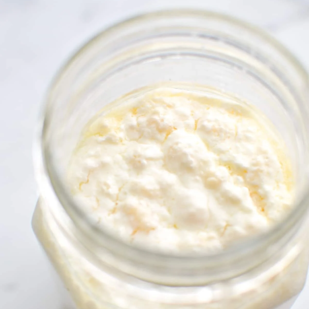 Milk Kefir (Dairy and Nondairy) — Contraband Ferments