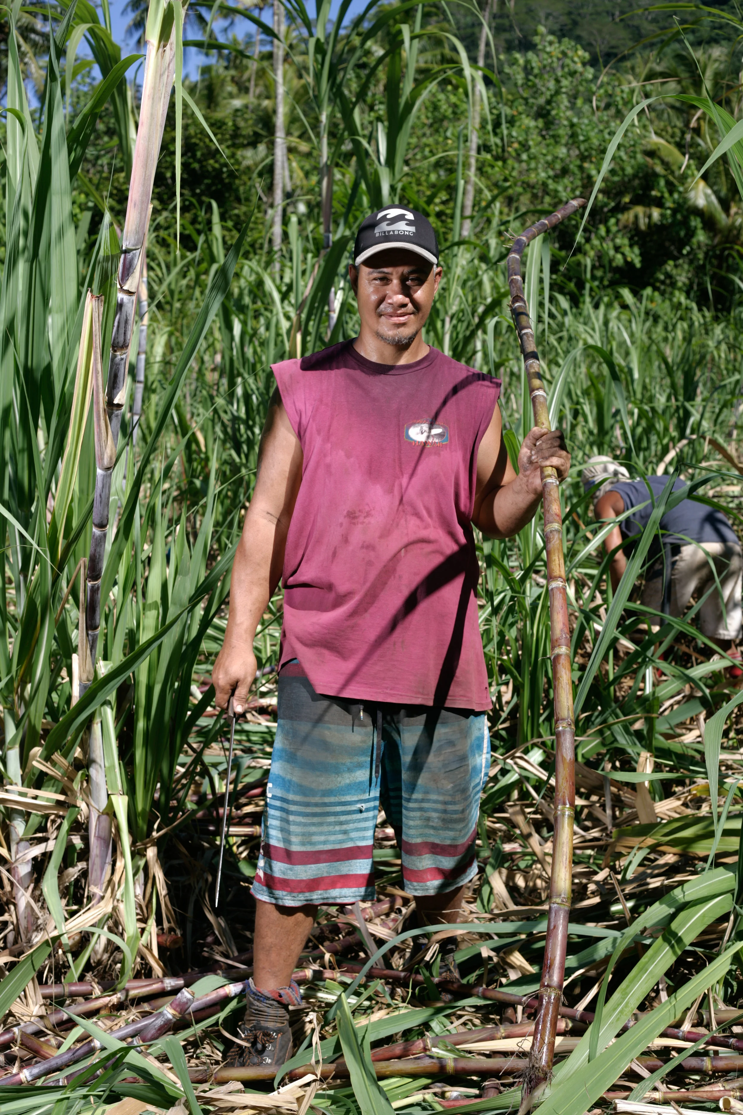 IP3BOI270418_ 08.JPG