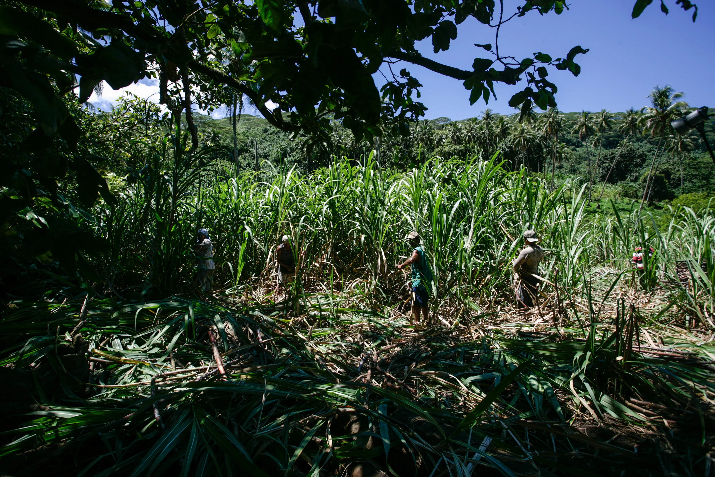 IP3BOI270418_ 15.JPG