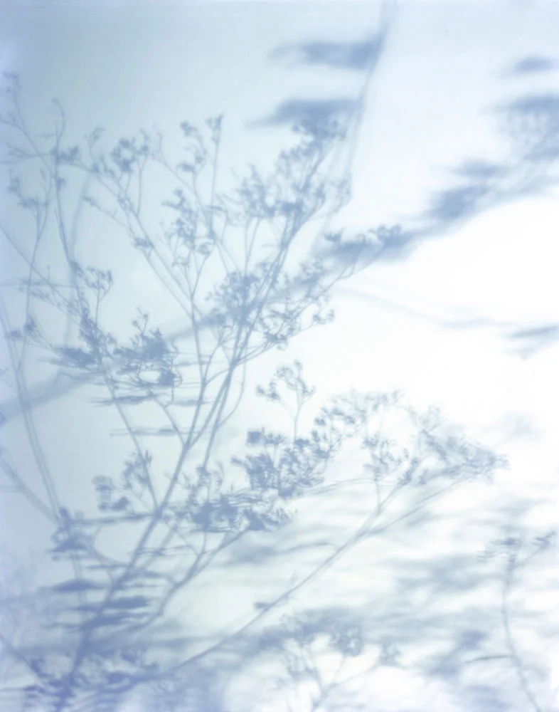 Shadows015.jpg
