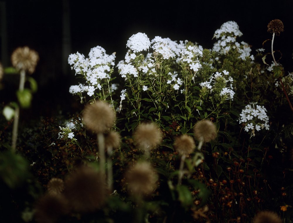 Wolkoff_Untitled 13_Block Island_Nocturne_2005.jpg