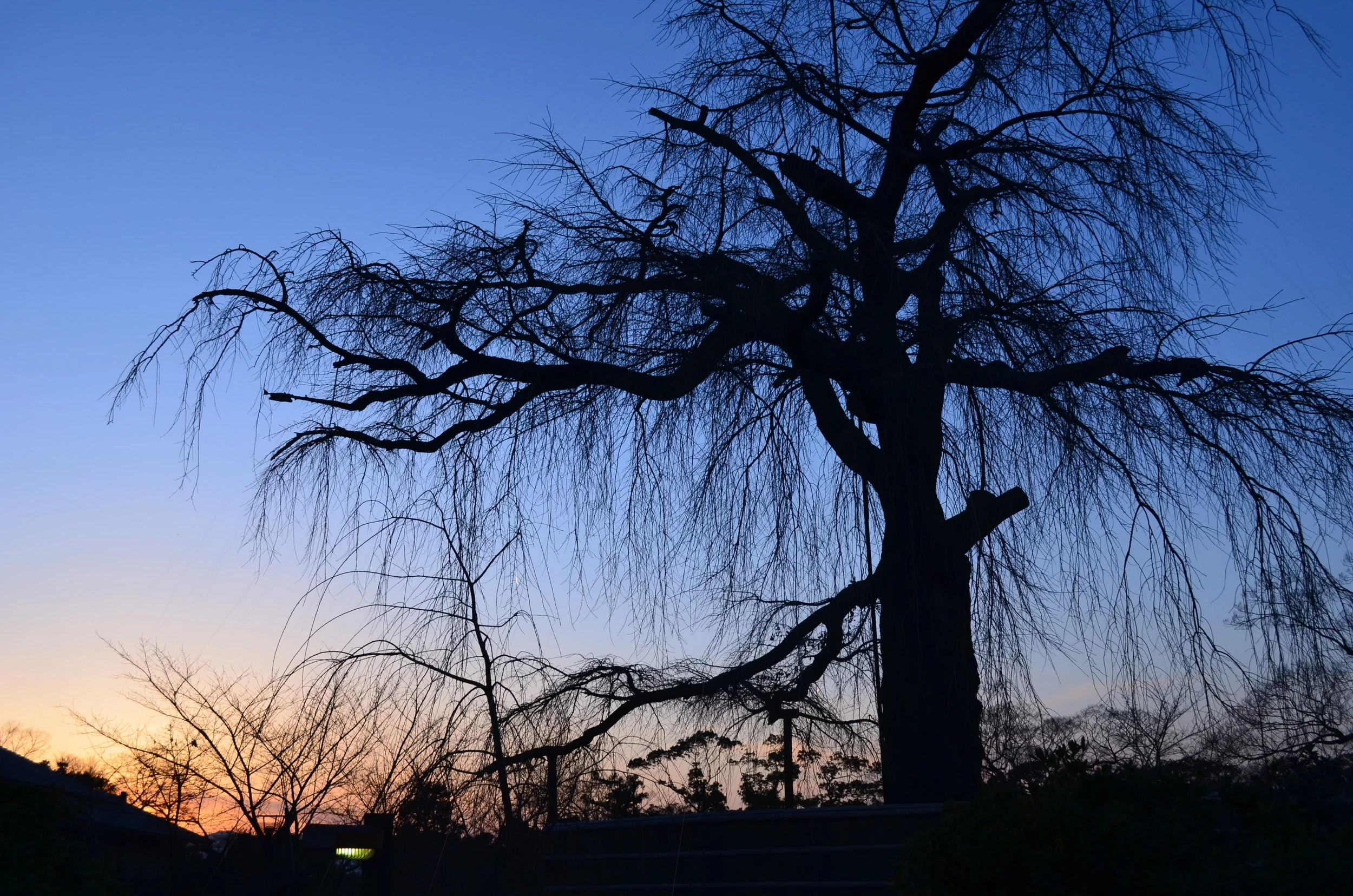  Kyoto, Japan Spring 2014 