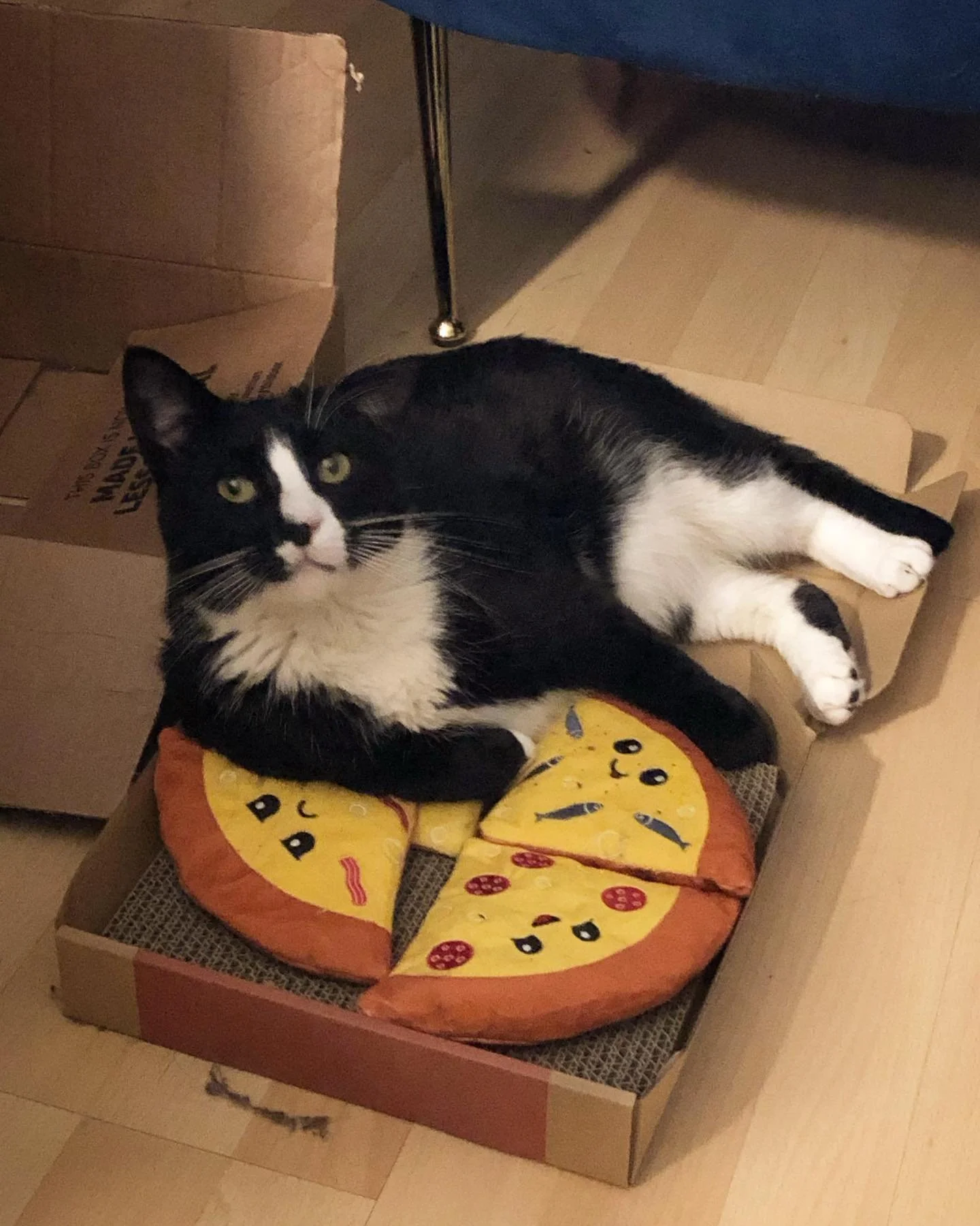 just a little pizza boy