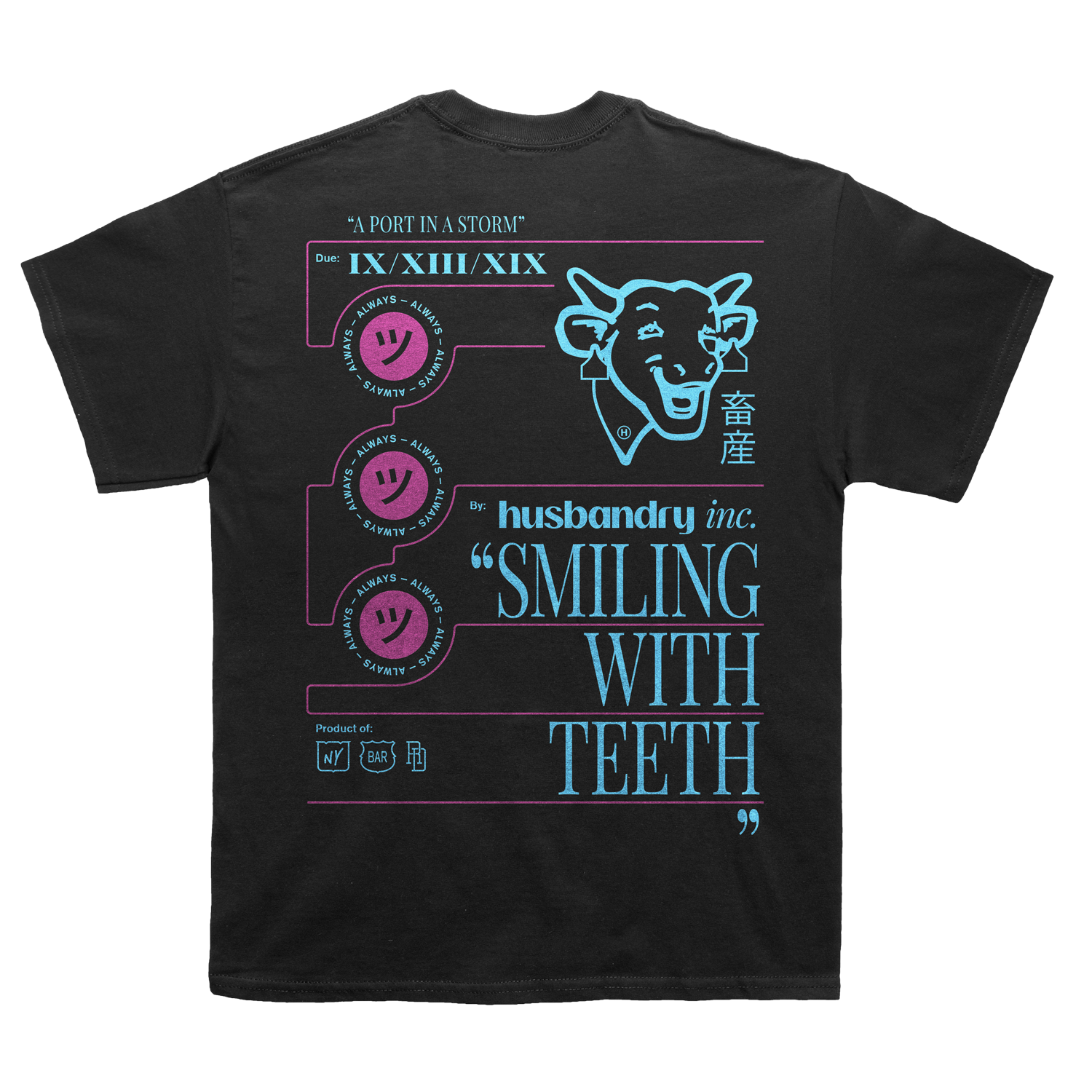 APIAS_black_t-shirt_mock-B.png