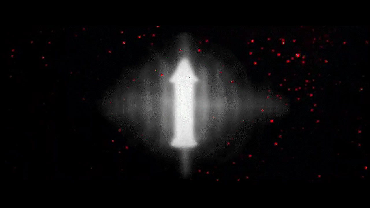 Husbandry - Nature Vs Nurture - Official Video_4.gif