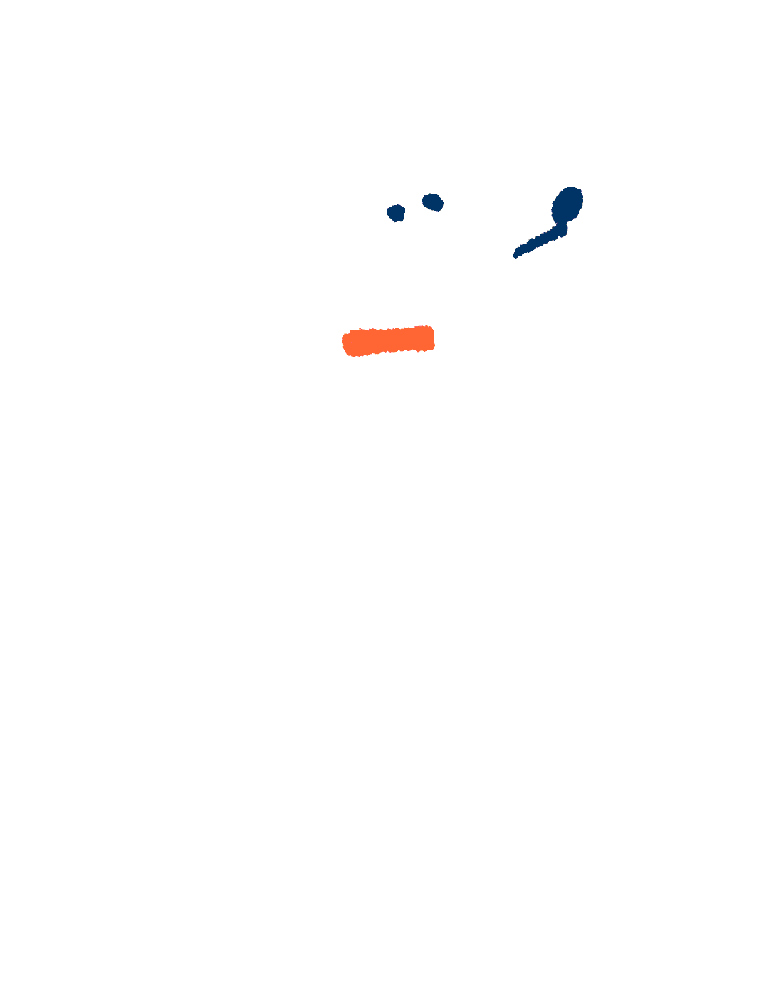 TFD_ Barkley_White_Paw_01.gif