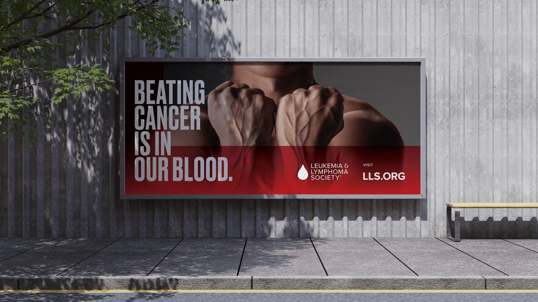 LLS_Digital-Bulletin_insitu copy.png