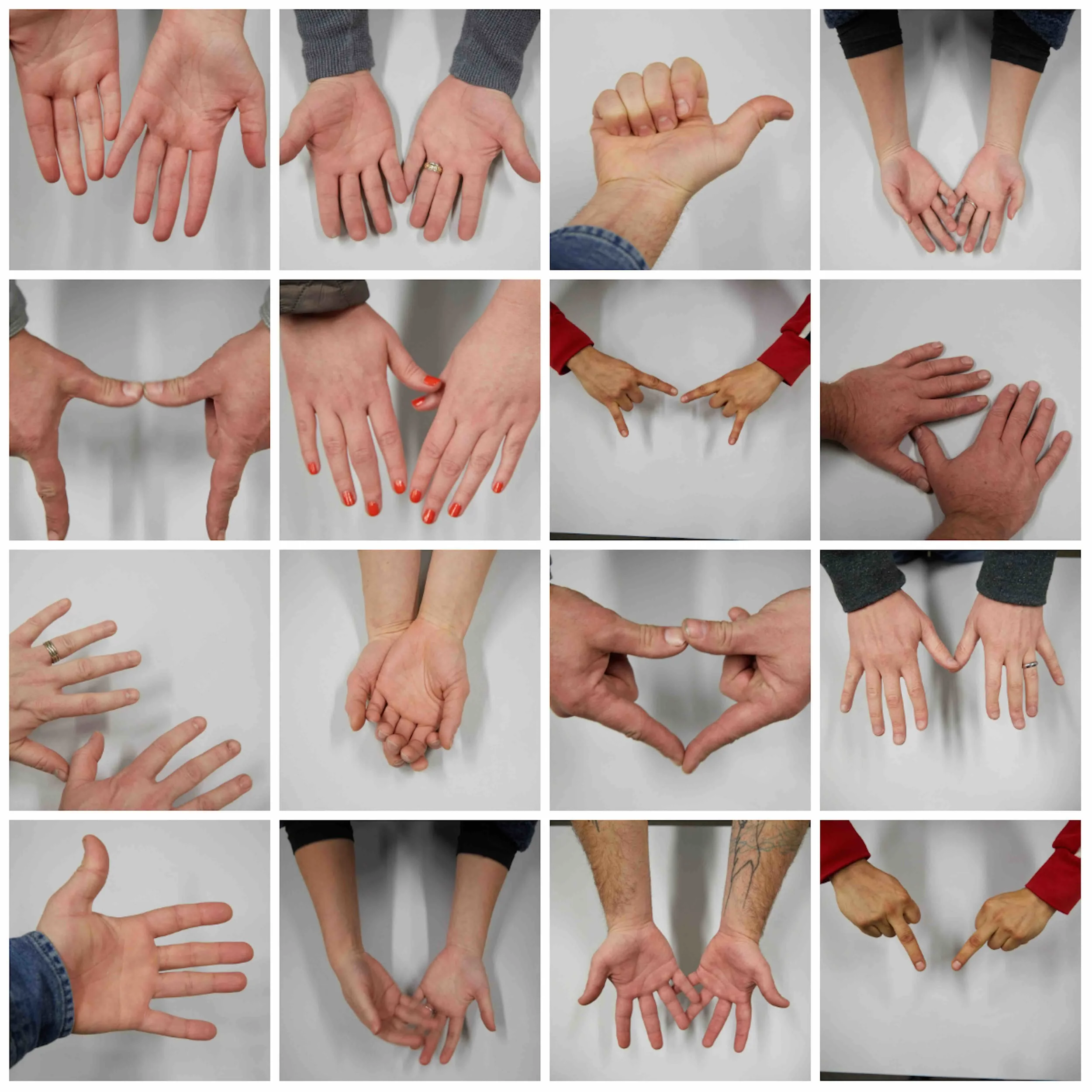 ALTEREGOS: Artists From The Conservation Center