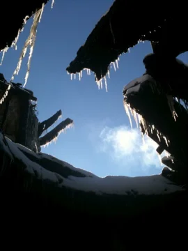 Profile: The Conservation Center's Disaster Response Team