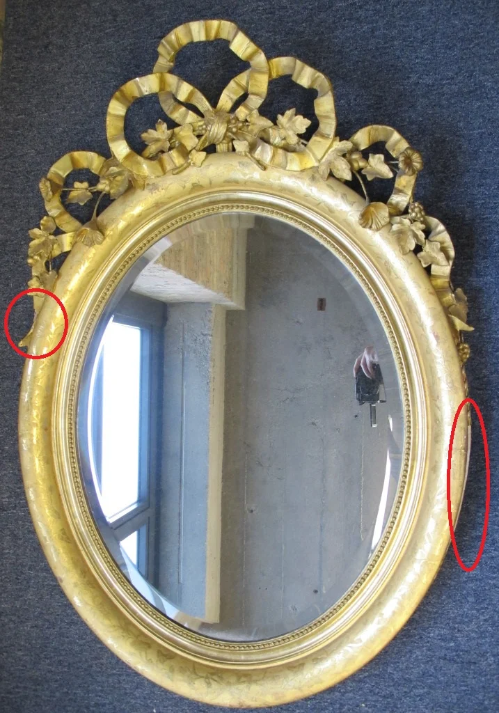 Before Treatment - note areas of damage circled in red.