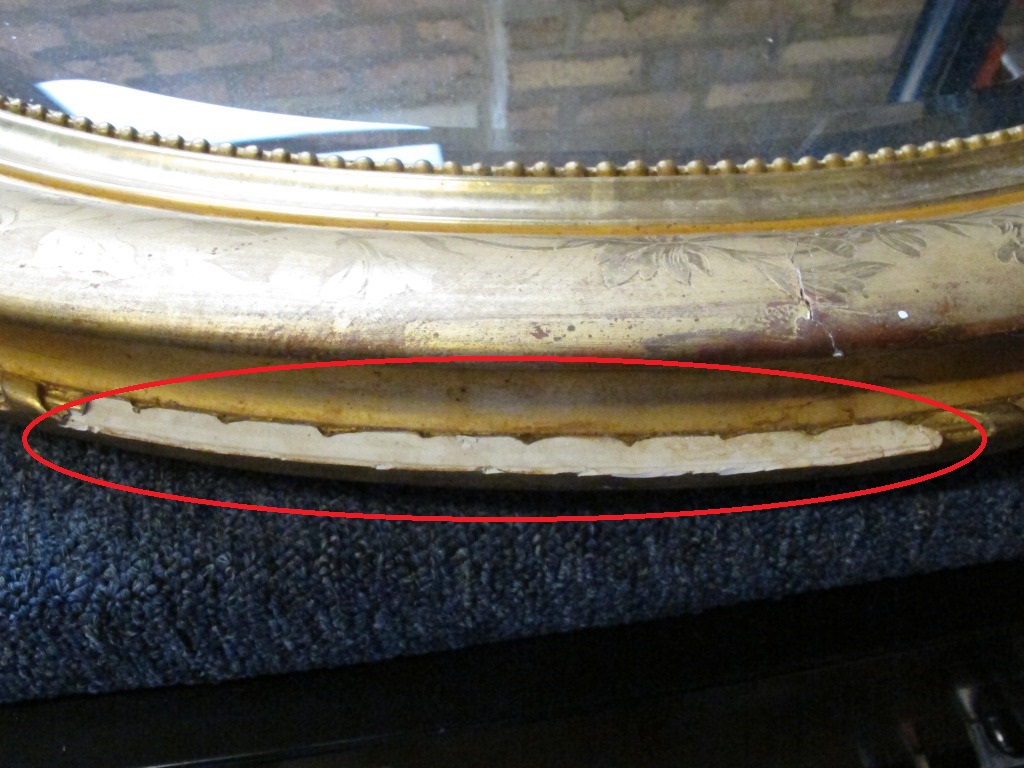 Before Treatment - Detail. Note areas of damage circled in red.