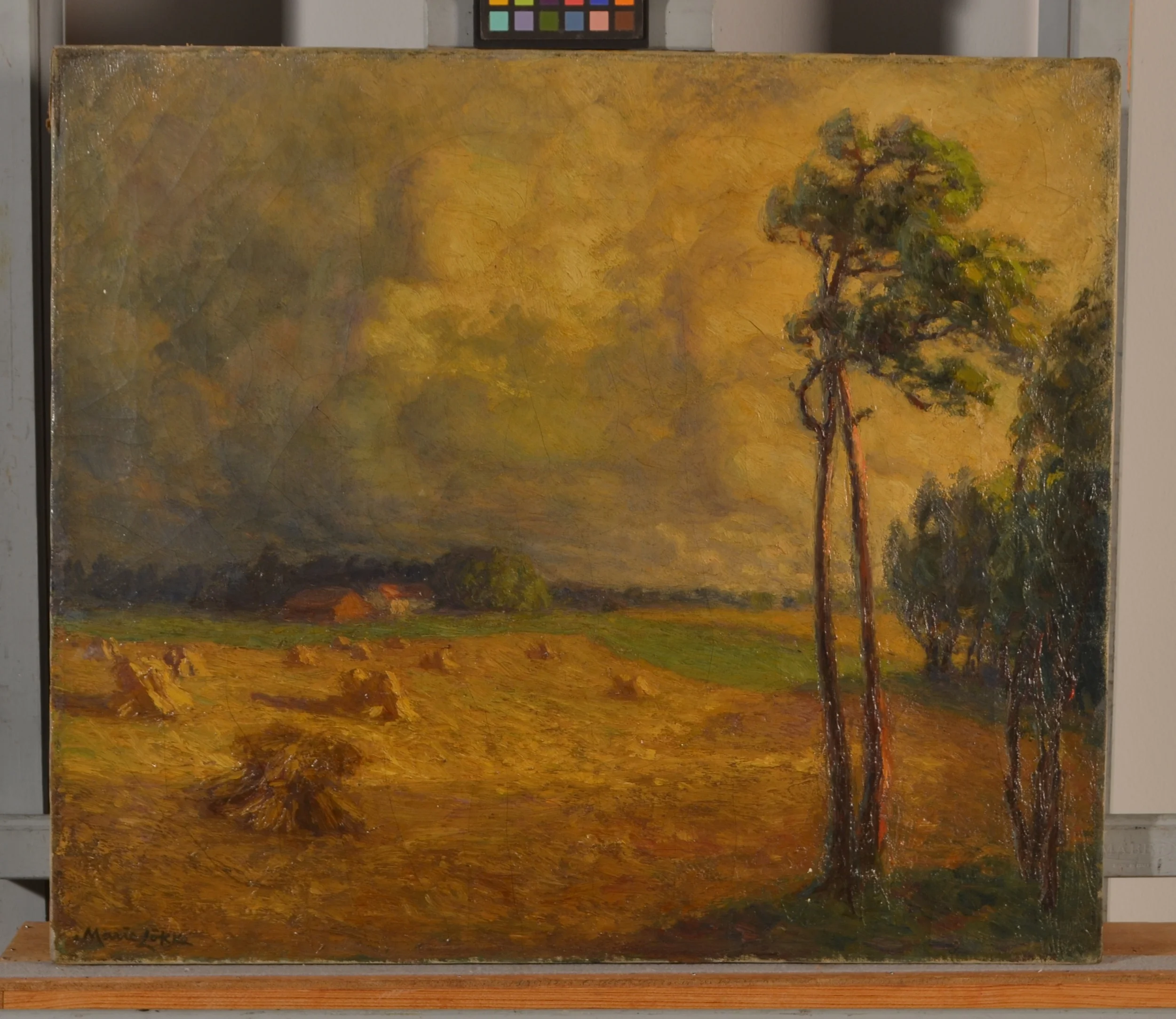 Before Treatment - Note the discolored, yellowed surface.