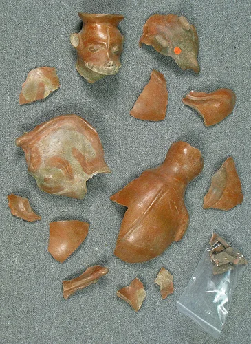 A Survivor with a Setback