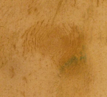 (Above) Example of craquelure from the reverse.