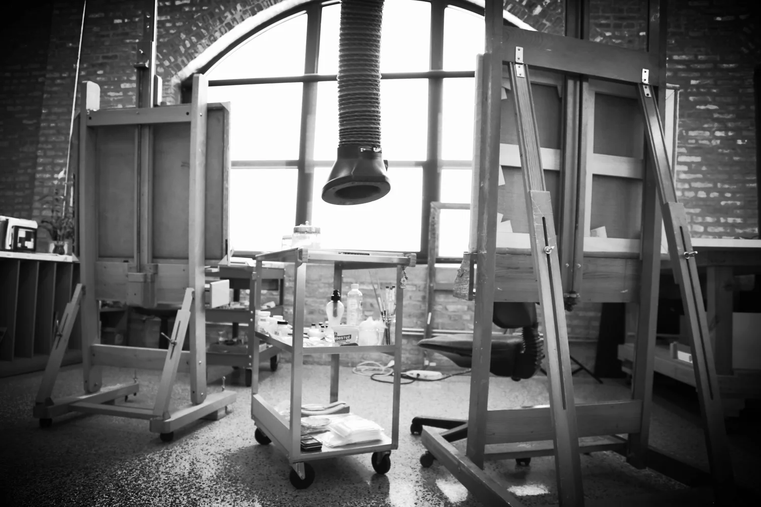 The Conservation Center's Mission — The Conservation Center