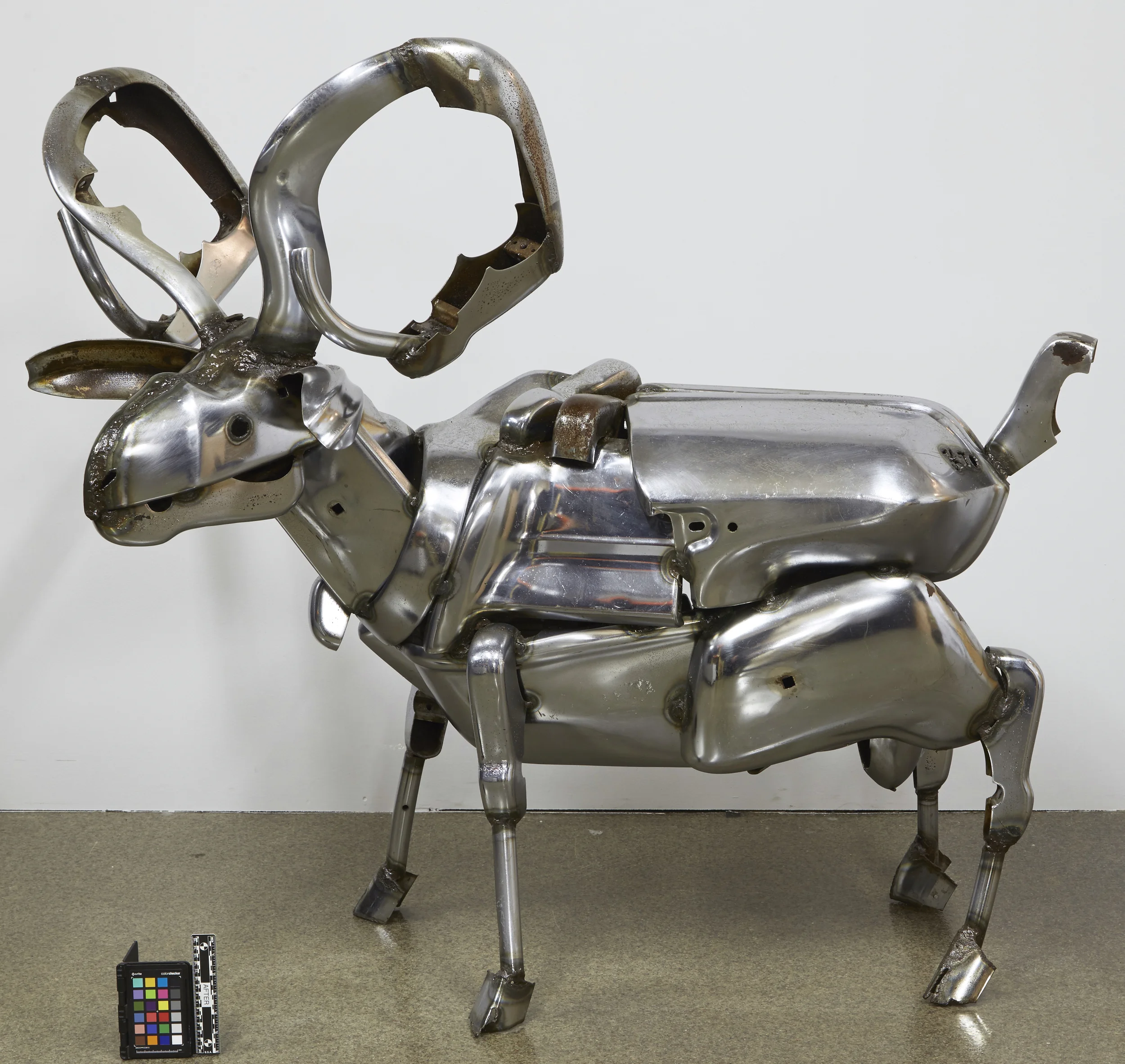 Ram , Jack Kearney - Post Treatment
