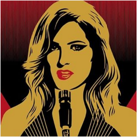 Frame and Fortune: Displaying "Little Lions" Album Artwork