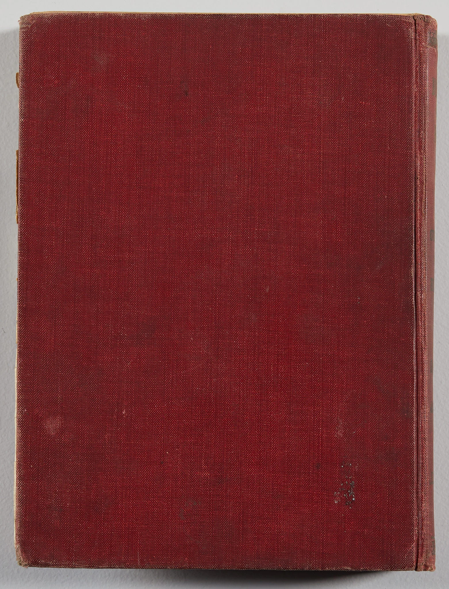Before Treatment (Verso)