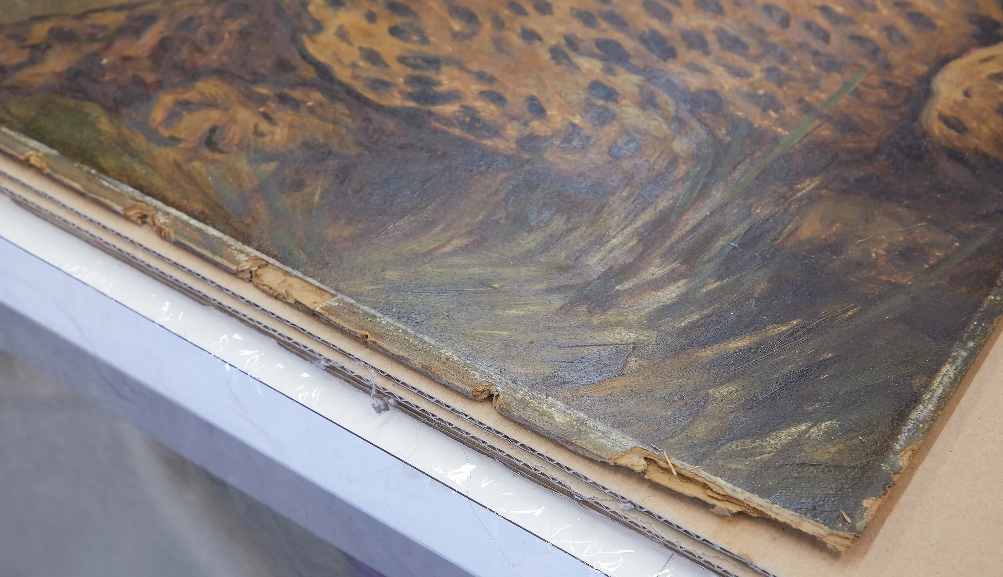 Before Treatment Detail (Delaminating layers of composition board)