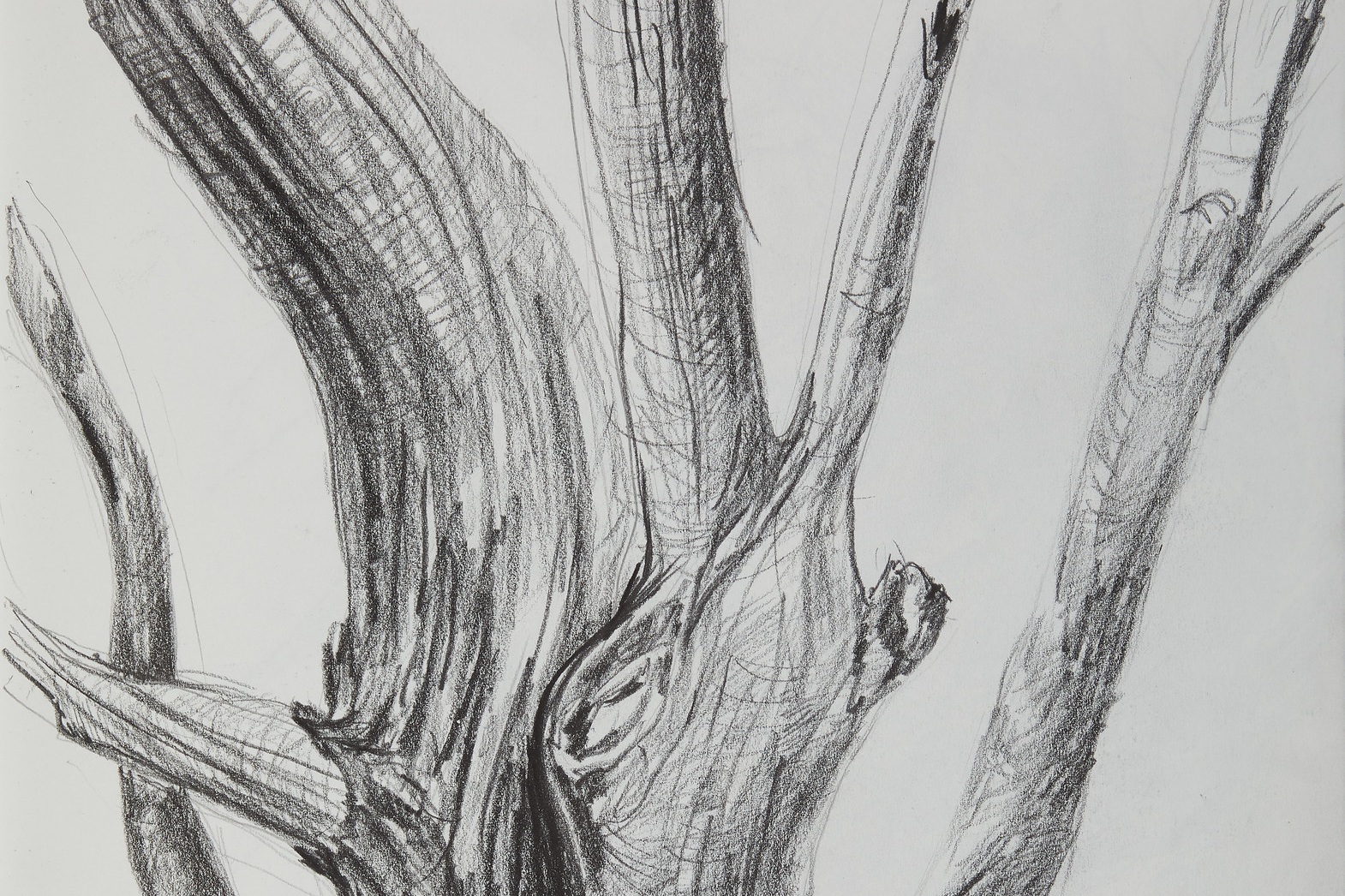 A Look Inside Jeanne Gang's Sketchbook