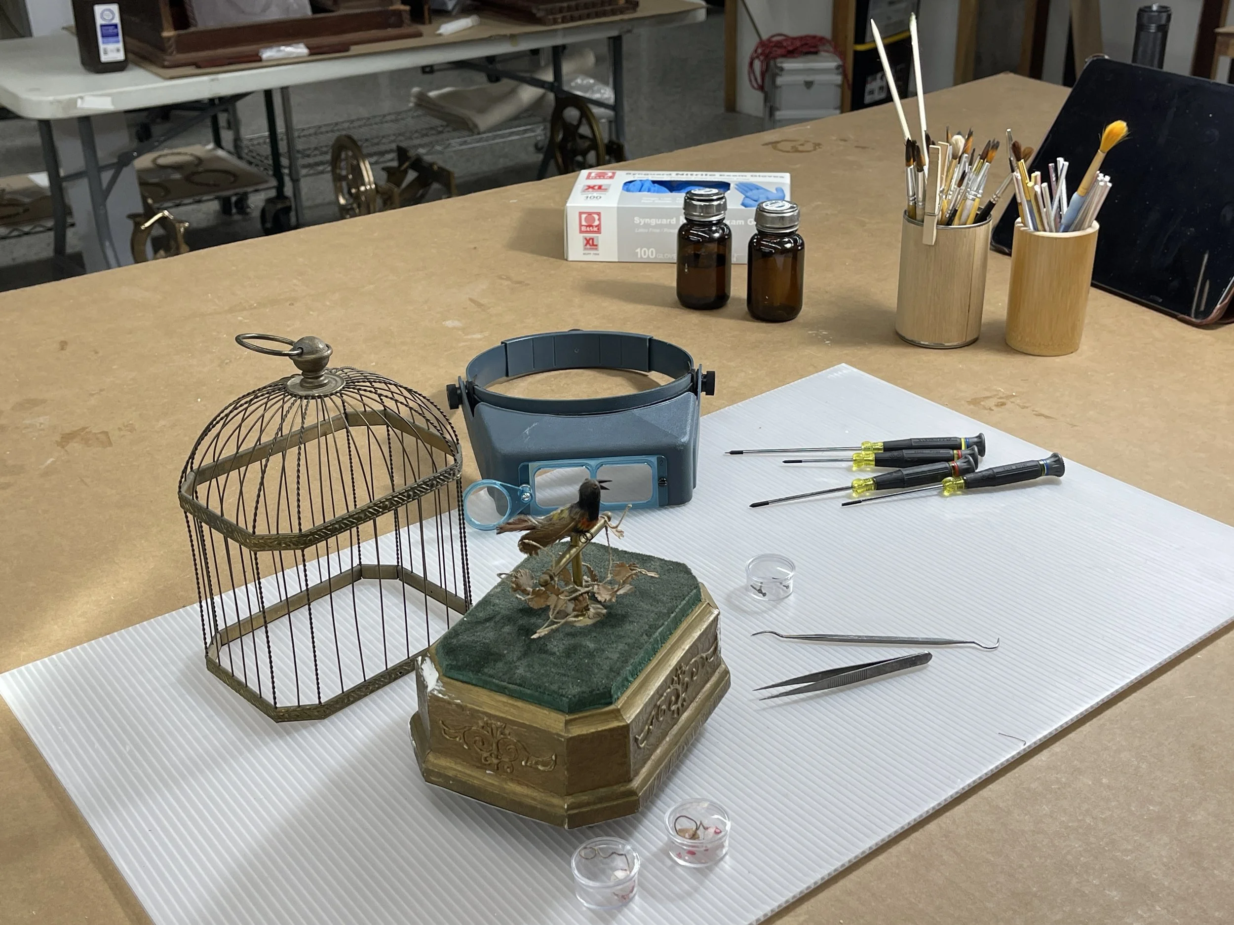 The Conservation Journey of a Musical Birdcage
