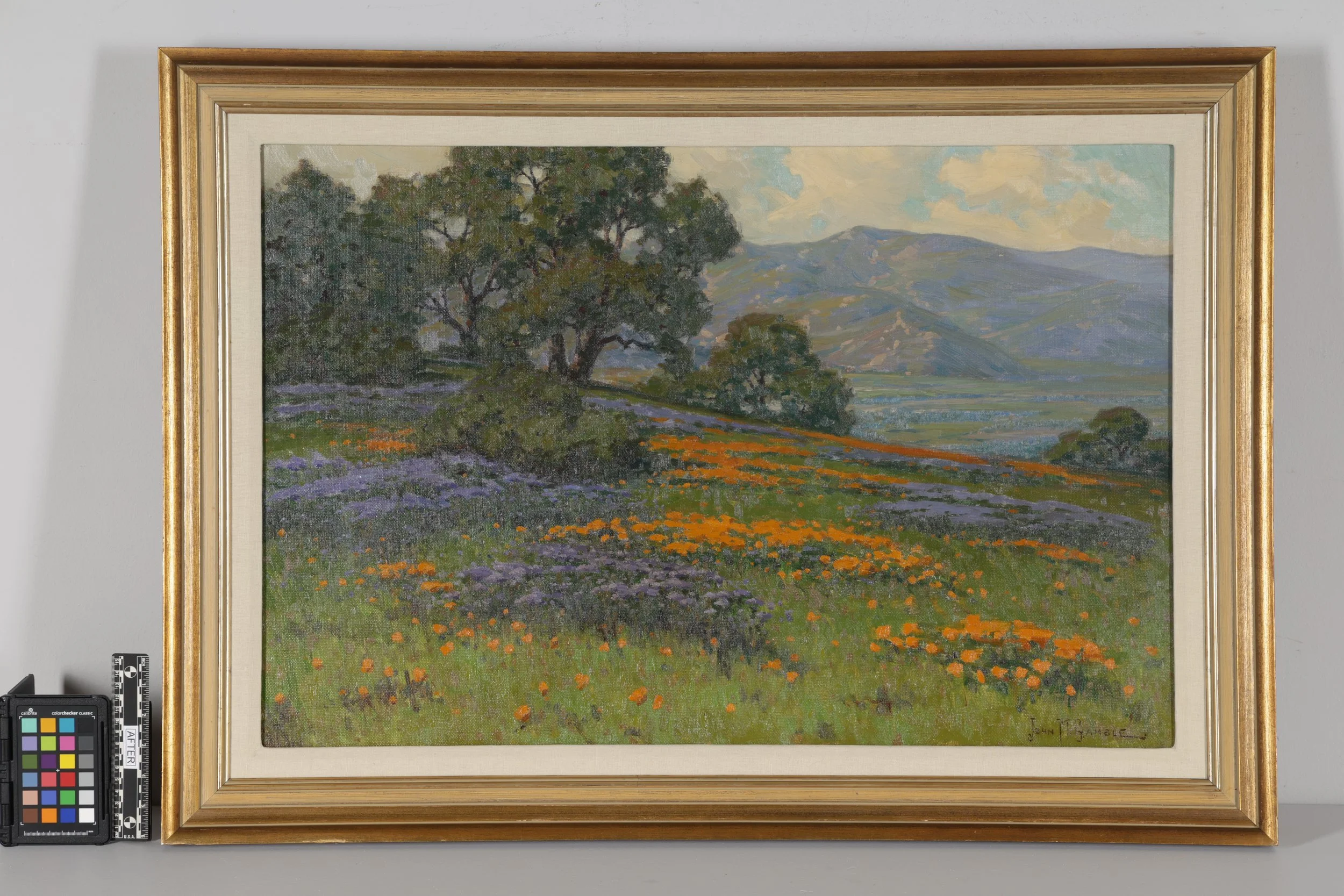 Preserving a California Landscape by John Marshall Gamble