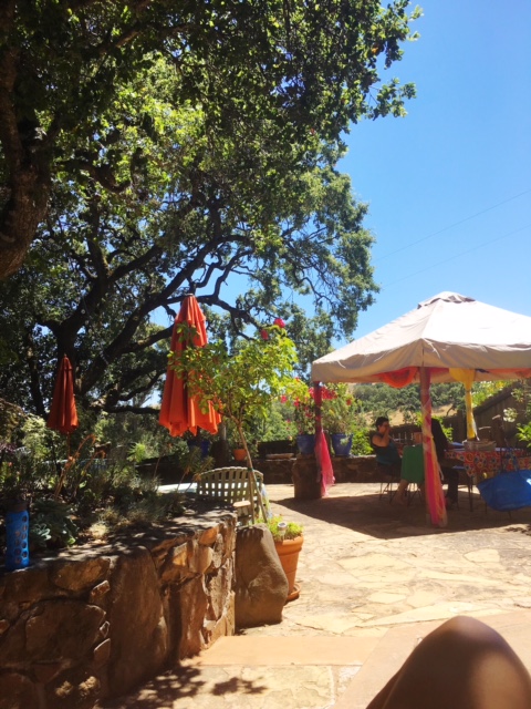 The view from my lounge chair.