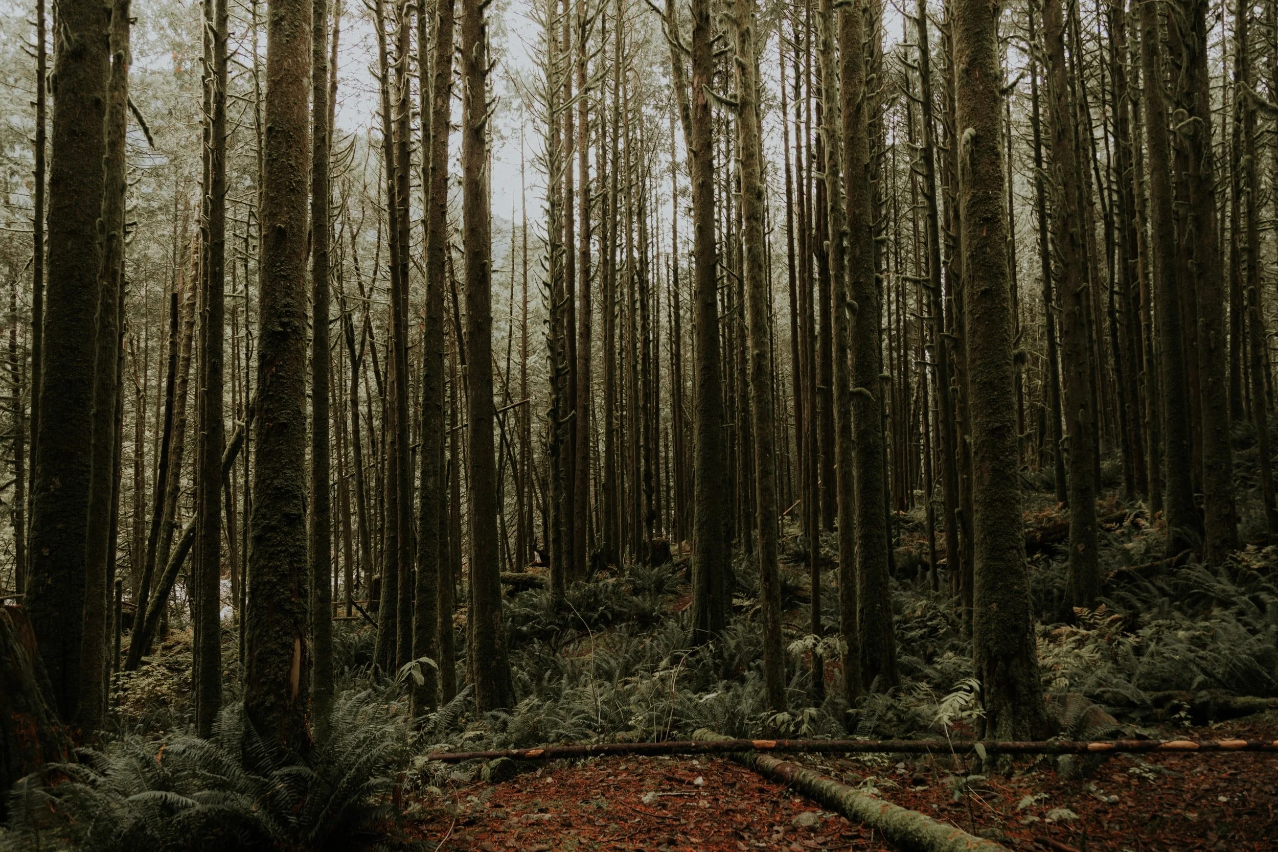 Shawn Johnson, pastor of Red Rocks Church in Denver, on Attacking Anxiety + 5 Things from the Internet