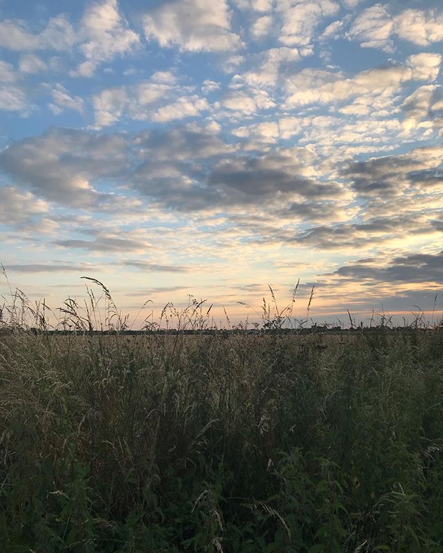 4/5 runs this week with the most beautiful evening skies. 
I nearly didn&rsquo;t run tonight. I am so hungry and tired. My head hurts. Plenty more excuses. I couldn&rsquo;t be bothered. But I was also moody and snappy and annoyed I didn&rsquo;t prior