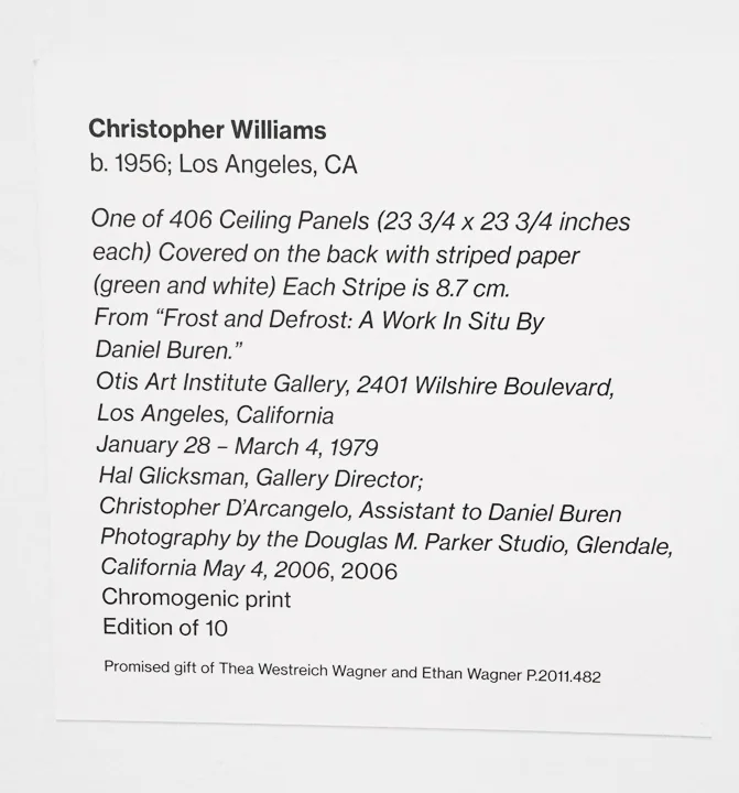 Whitny_web_5792.jpg