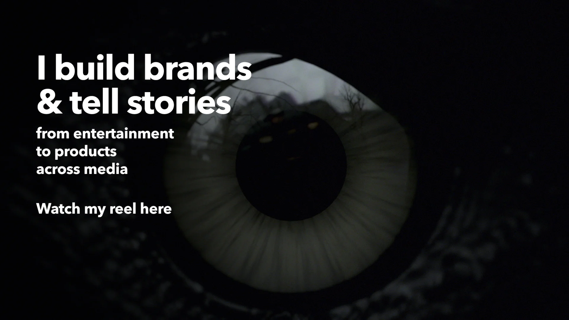 slideshow 6 with text.jpg