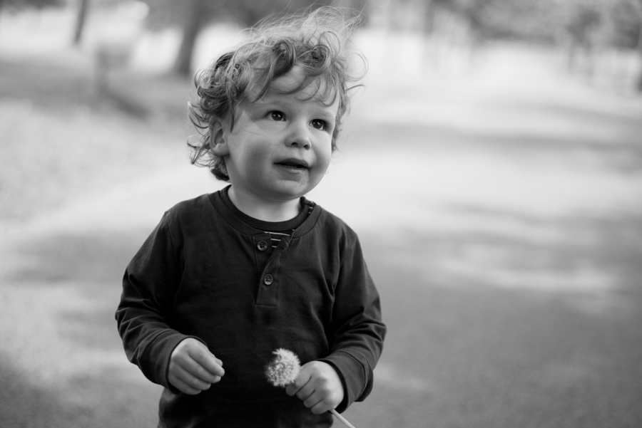 Beautiful portraits of babies and children