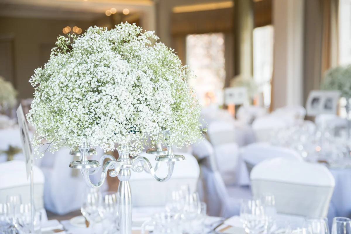 details (4 of 25).jpg