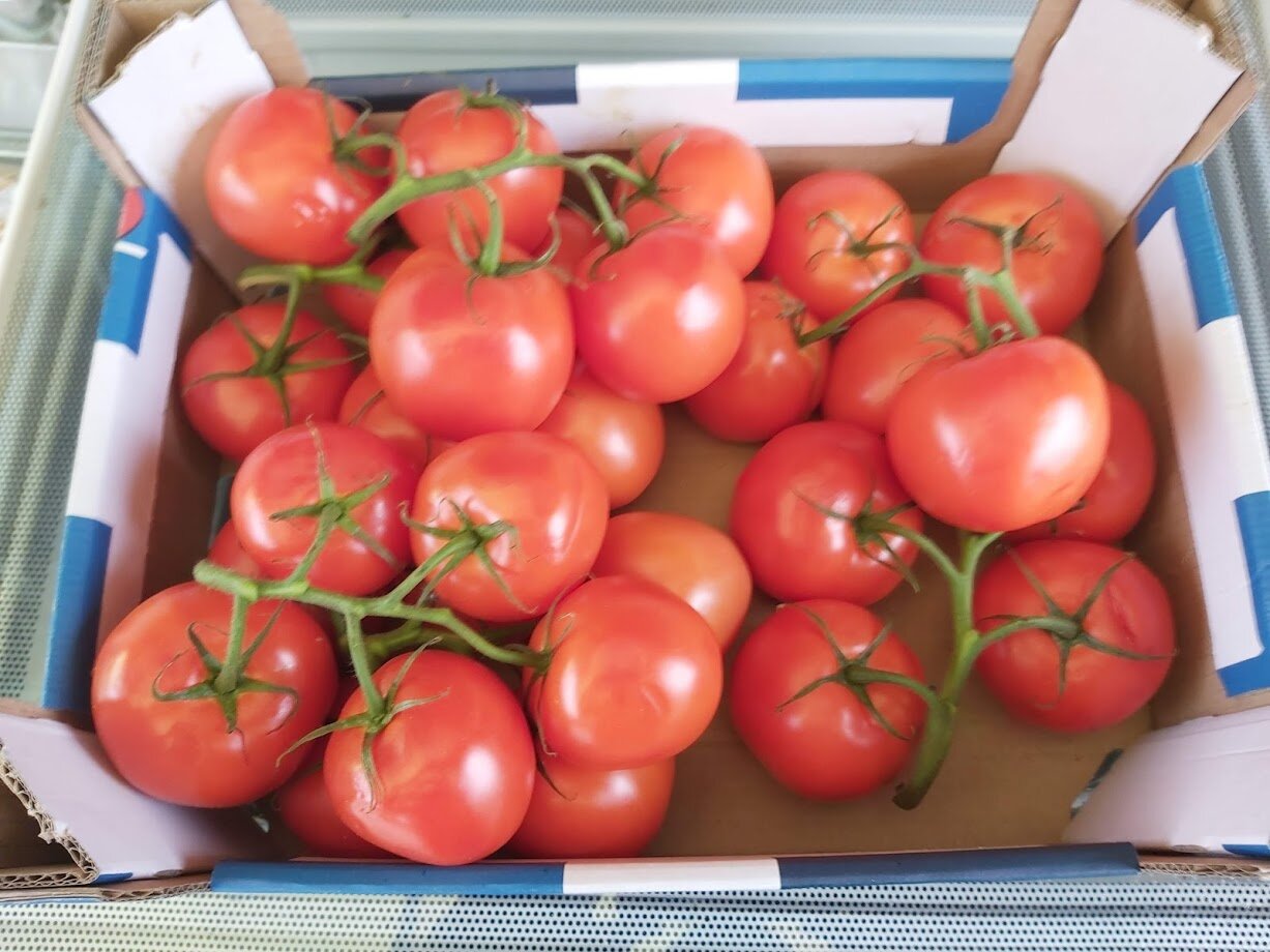 Vine Tomatoes.jpg