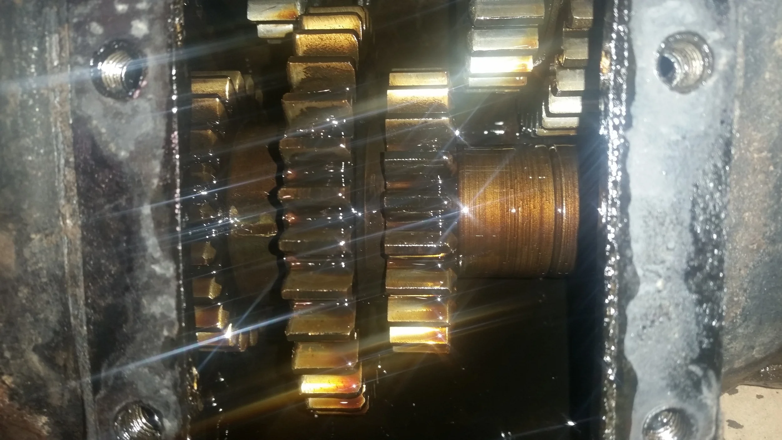 20150302_134452.jpg