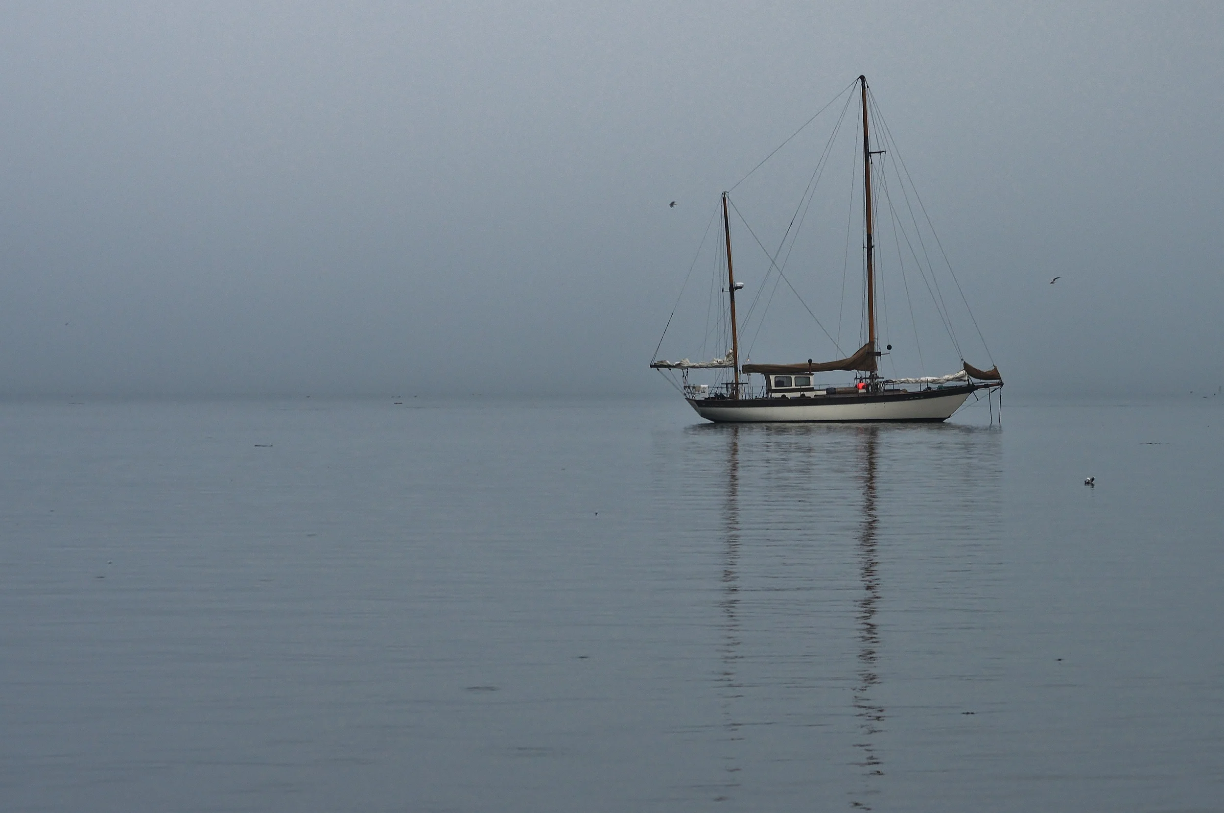 Anchored in Fog.JPG