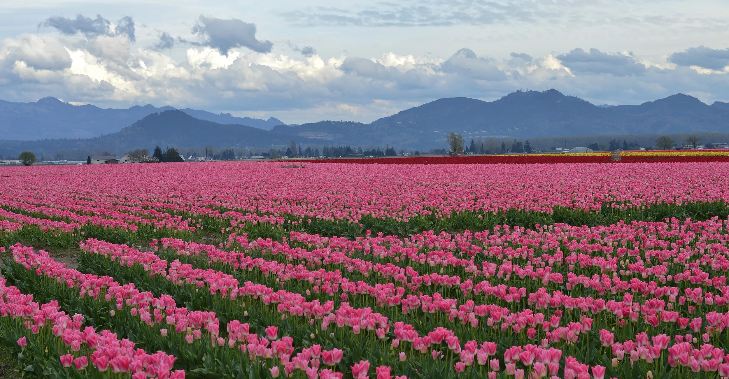 As far as the eye can see.JPG